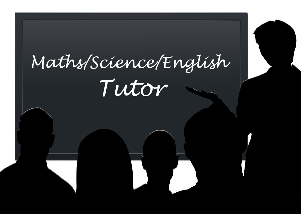 School Tutoring in Duabi