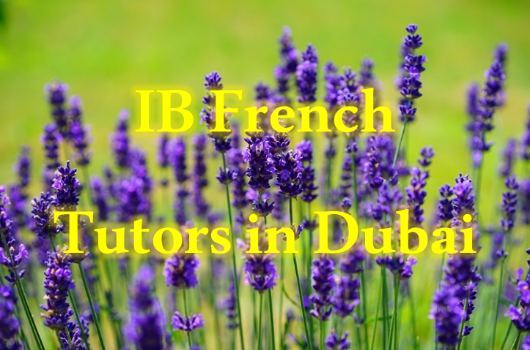 School Tutoring in Duabi