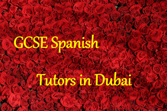 School Tutoring in Duabi