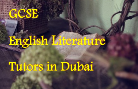 School Tutoring in Duabi