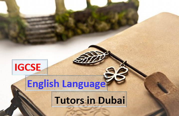School Tutoring in Duabi
