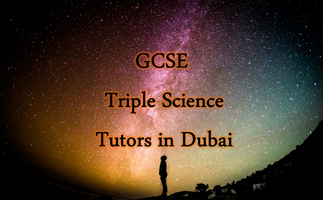 School Tutoring in Duabi